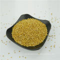 New Crop White Broomcorn Millet For Animal Food